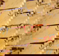 Asha Mahasuria - Gold Coast Optometrists