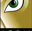 Icon Eyewear - Gold Coast Optometrists