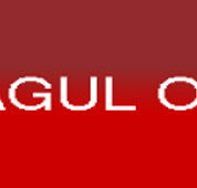 Warragul Optical - Gold Coast Optometrists