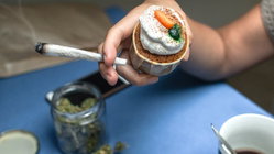 Cannabis cafes may become tourist draw in US city as lung experts cite 'toxic chemical' concerns Gold Coast Optometrists