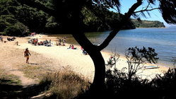 Deadly mystery unfolds as canoeists are found unresponsive after midnight trip Gold Coast Optometrists