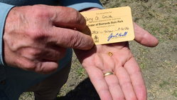 Grandfather finds hidden treasure in plain sight as park officials 'dumbfounded' by discovery Gold Coast Optometrists