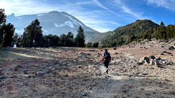 Mount Shasta climber recounts harrowing 500-foot slide, overnight crawl to safety: report Gold Coast Optometrists