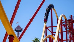 Popular amusement park bans guest for life after roller coaster stunt viral video Gold Coast Optometrists
