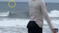 Shark Week shocker as great white breaches just yards from oblivious boogie boarder Gold Coast Optometrists
