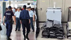 Staggering drug haul found at major airport after bizarre attempt to hide evidence Gold Coast Optometrists